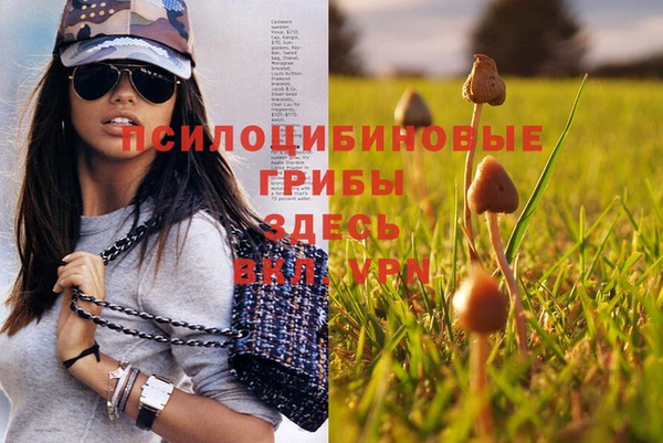марки lsd Вяземский